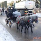 zdjęcie nr 74