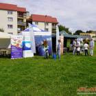 zdjęcie nr 39