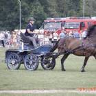 zdjęcie nr 90