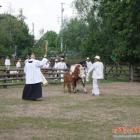 zdjęcie nr 90