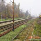 zdjęcie nr 15