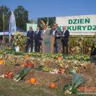 zdjęcie nr 14