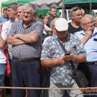 zdjęcie nr 144