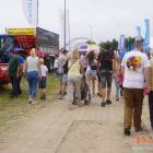 zdjęcie nr 75