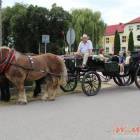 zdjęcie nr 30