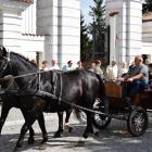 zdjęcie nr 75