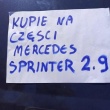 zdjęcie nr 
