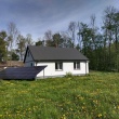 zdjęcie nr 