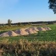 zdjęcie nr 