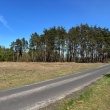 zdjęcie nr 