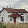 zdjęcie nr 