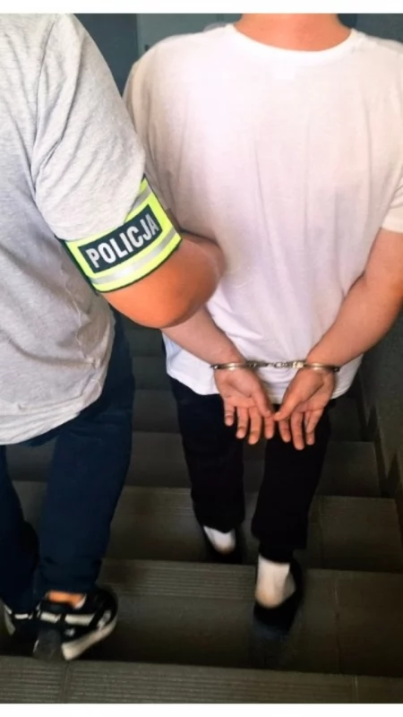 Znęcanie się nad psem, niedozwolone nagrania i narkotyki. 30-latek aresztowany