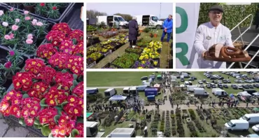 Nie tylko kwiaty i drzewka. Bogata oferta na Wiosennych Targach Ogrodniczych w Szepietowie [FOTO + VIDEO]