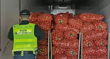 Nielegalne papierosy w skrzyniach z cebulą