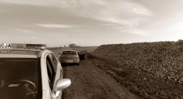 Niecodzienna interwencja policjantów - dwóch pijanych mężczyzn kradło buraki