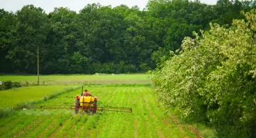 Ustawa o środkach ochrony roślin: ograniczenia w e-handlu i większa kontrola fumigantów