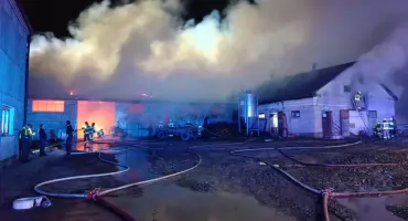 Dogaszanie pożaru w Wyszonkach-Wojciechach wciąż trwa. Zginęło 5 cieląt