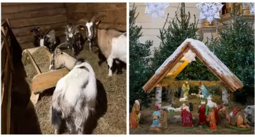 Świąteczna atmosfera w skansenie. Żywa i tradycyjna szopka w Muzeum Rolnictwa w Ciechanowcu