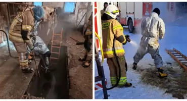 Dwie krowy wpadły do gnojowicy. Interweniowali strażacy [foto]