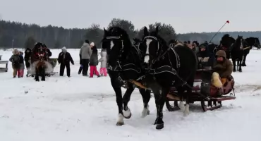 Ciechanowiec świętował półmetek ferii na kuligu [foto]