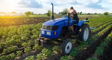 Dlaczego traktorki z Japonii uchodzą za jedne z najbardziej niezawodnych? Sekret ich konstrukcji