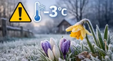 Wielkanoc z przymrozkami. Nawet -3°C przy gruncie