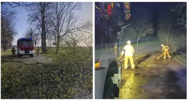 Silny wiatr w regionie. 11 interwencji strażaków w powiecie wysokomazowieckim