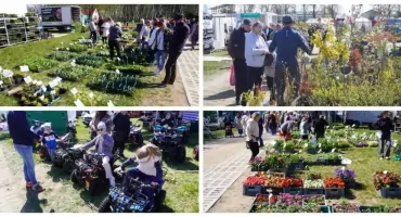 Rozpoczęły się Wiosenne Targi Ogrodnicze w Szepietowie [FOTO + VIDEO]