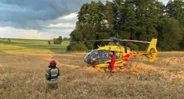 Samochód uderzył w drzewo. Kobieta i dwoje dzieci przewiezieni do szpitala [FOTO]