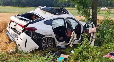 Samochód uderzył w drzewo. Kobieta i dwoje dzieci przewiezieni do szpitala [FOTO]