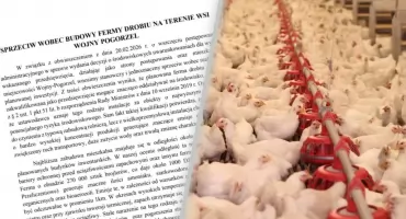 Cztery kurniki na 270 tys. kurczaków pod Szepietowem? Mieszkańcy protestują