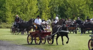 Zbliżają się V Amatorskie Zawody w Powożeniu Zaprzęgami Konnymi w Czyżewie. Zapisy nadal trwają
