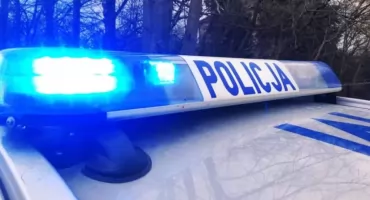 Zderzenie z sarną w Czyżewie. Kia uszkodzona na ul. Andrzejewskiej