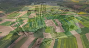 Zaliczki dopłat od 8 września. ARiMR przypomina rolnikom o ważnej sprawie
