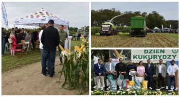 144 odmiany kukurydzy i pokazy polowe. Za nami Krajowy Dzień Kukurydzy w Szepietowie [foto]