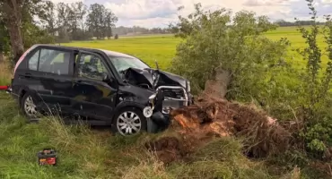 Samochód uderzył w drzewo w gminie Nowe Piekuty. Kierującą zabrało LPR [FOTO]