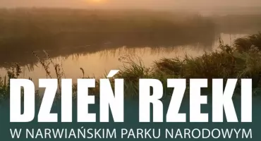 Narew w kadrze. Dzień Rzeki w Narwiańskim Parku Narodowym
