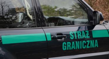 Kolejne grupy nielegalnych imigrantów na granicy z Białorusią