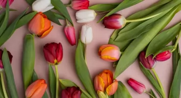 Dziś Dzień Kobiet! 